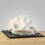 Base para Gelado Fibragel 100 PreGel 1,5kg