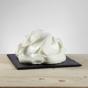 Base para Gelado Fior Panna PreGel 1,2kg