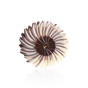 Decoraes de Chocolate Dobla - Rosette dark/white 30 un