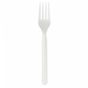 Garfo em CPLA em branco 170mm 1000un