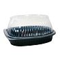 Contentor+tampa Micro-ondas 9500 100+100 un