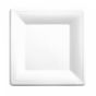 Prato Celulose de Cana de Acar Branco 200x200x10mm 10x50 un