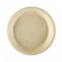 Prato Celulose de Cana de Acar Natural 260x21mm 10x50 un
