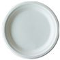 Prato em Cana de Acar Branco 220x19mm 10x50un
