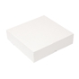 Caixa Nano-Micro Branco sem Janela 200x200x50mm 50 un