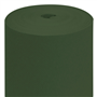 Toalha Airlaid Dry Tissue em Rolo 1,2x50m Verde Jaguar
