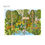 Toalhetes para Colorir 310x430mm Forest Animals 4x250 un