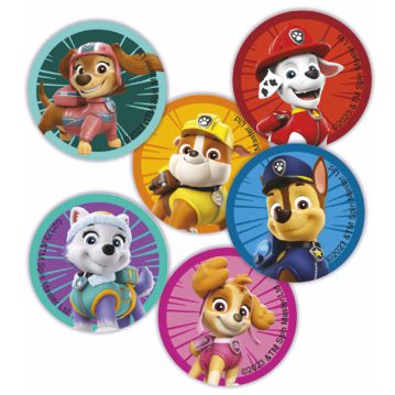 Discos em Pasta de A��car 58mm 6 modelos Paw Patrol Modecor 12 A4 com 12 Pe�as