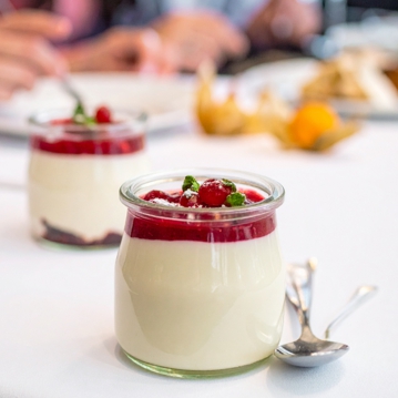Mix Pannacotta IPSA 1kg