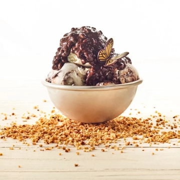 Joycream Besamemucho Irca 5kg