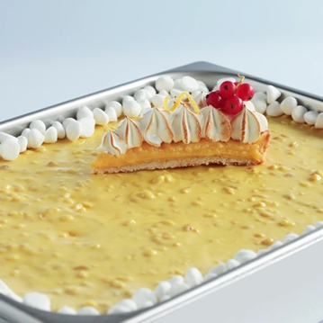 Joycream Lemonbiscotto Irca 5kg