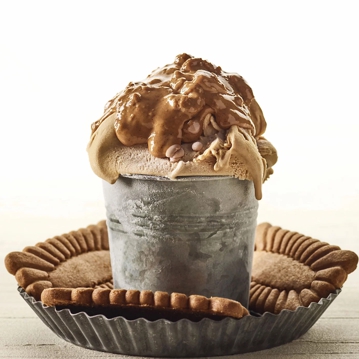 Joycream Speculoos Irca 5kg