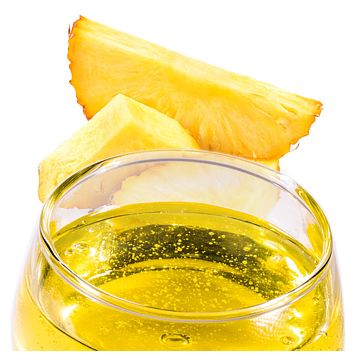 Pannacrema Anans PreGel 1,1kg