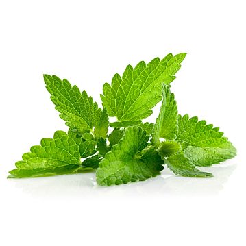 Aroma Alimentar - Menta 19me3 1L