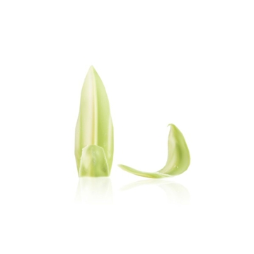 Dobla Feuilles et ptales - Rose petals - Long leaves green white 260 unit