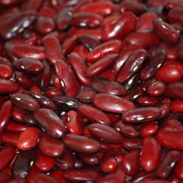 Feijo Vermelho Trevi 5kg
