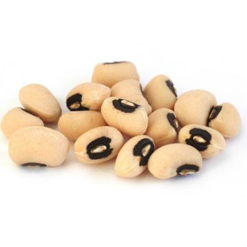 Feijo Frade Trevi 5kg