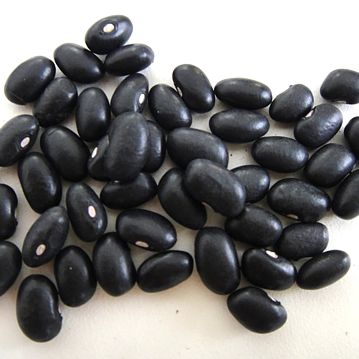 Feijo Preto Trevi 5kg
