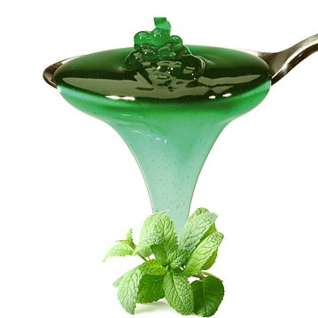 Topping Menta Progelcone 1,2kg
