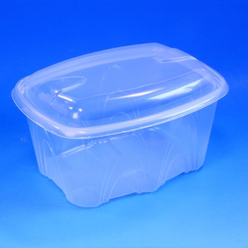 Contentor para Micro-ondas Rectangular Archipack BCKTP2501 Transl�cido 2500ml 230x180x129mm 180 un