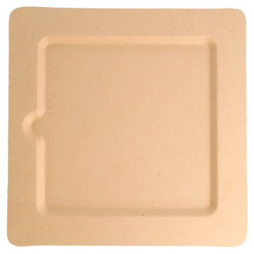 Prato Celulose de Cana de Acar Natural 200x200x10mm 4x50 un