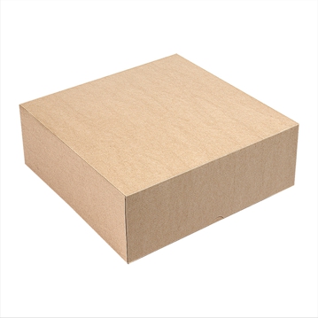 Caixa Nano-Micro Castanho sem Janela 400x400x100mm 50 un