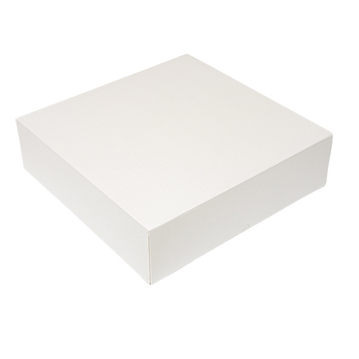 Caixa Nano-Micro Branco sem Janela 360x360x100mm 50 un