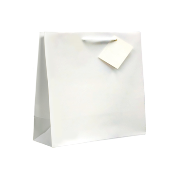 Saco Papel Boutique Branco com Asa Cordo 190+100x270mm 100un