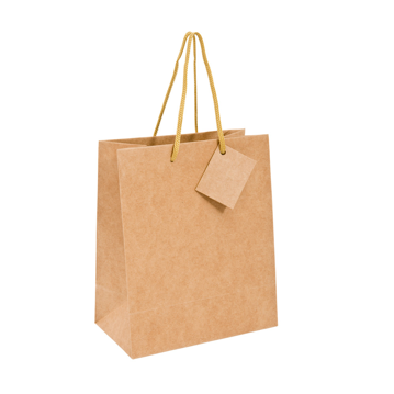 Saco Papel Kraft Boutique com Asa Cordo 190+100x270mm 100un