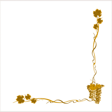 Guardanapo Double Point 400x400mm Bacchus 24x50 un