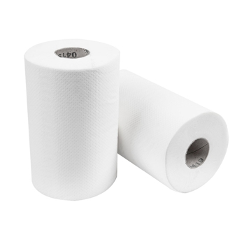 Rolo Mini Seca Mos 1 Folha Tissue Branco 105m 12 un
