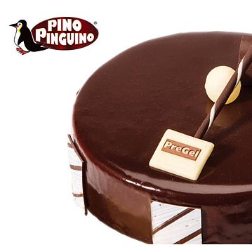 Brilho com PinoPinguino