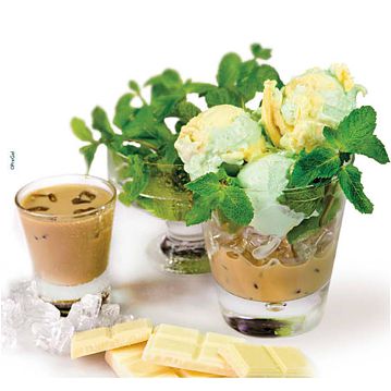 Gelado Springbock Menta